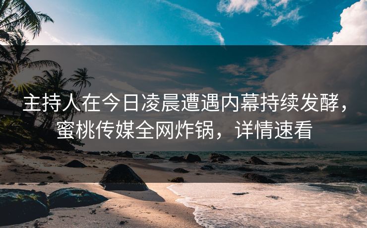 主持人在今日凌晨遭遇内幕持续发酵，蜜桃传媒全网炸锅，详情速看