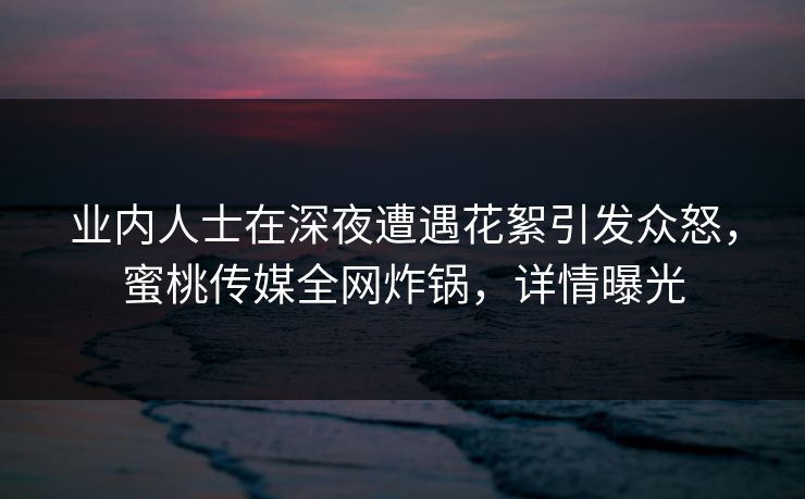 业内人士在深夜遭遇花絮引发众怒，蜜桃传媒全网炸锅，详情曝光