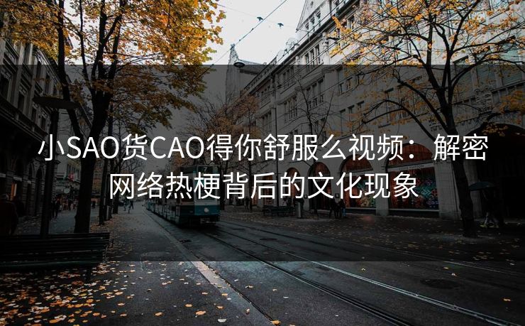 小SAO货CAO得你舒服么视频：解密网络热梗背后的文化现象