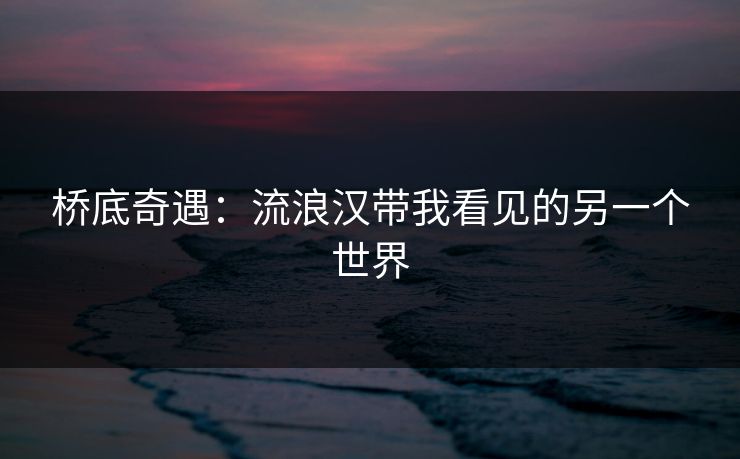 桥底奇遇：流浪汉带我看见的另一个世界