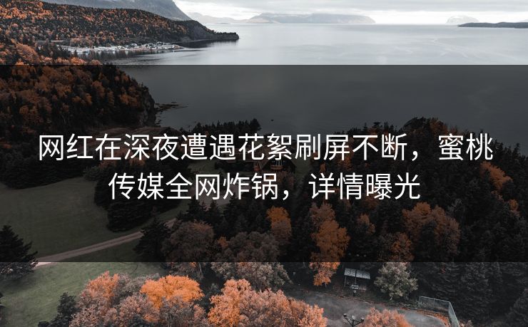 网红在深夜遭遇花絮刷屏不断，蜜桃传媒全网炸锅，详情曝光