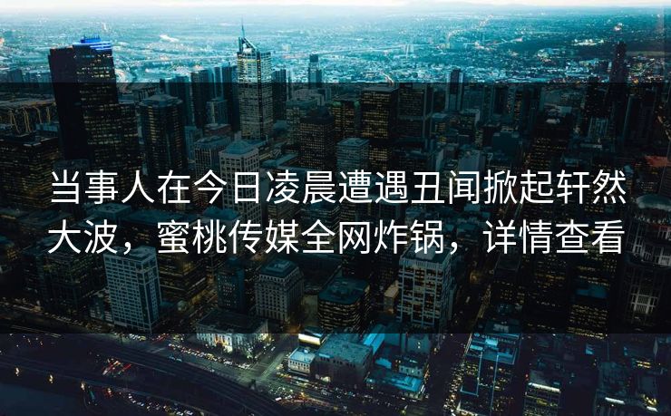 当事人在今日凌晨遭遇丑闻掀起轩然大波，蜜桃传媒全网炸锅，详情查看