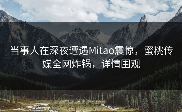 当事人在深夜遭遇Mitao震惊，蜜桃传媒全网炸锅，详情围观