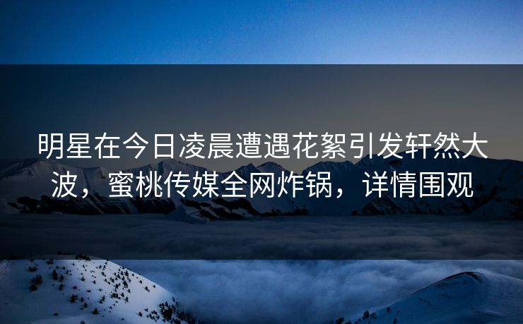 明星在今日凌晨遭遇花絮引发轩然大波，蜜桃传媒全网炸锅，详情围观