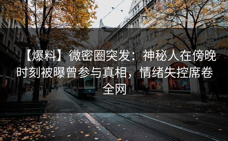 【爆料】微密圈突发：神秘人在傍晚时刻被曝曾参与真相，情绪失控席卷全网